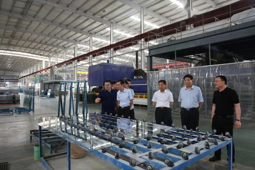 创新引领 促进民营企业高质量发展——省直专家服务组走进山东耀华玻璃公司开展诊断咨询服务活动