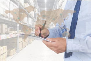 细节制胜 广州驻厂管理咨询机构如何通过精细化信息咨询，破解仓库管理难题